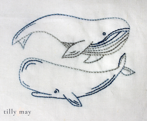 Tilly May - Whales